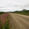 Kougarok Road.
July/August fireweed.
North of Nome, Alaska.
