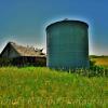 Early-mid 1900's barn & silo~
Montgomery County.
