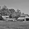 Old dairy farm setting.
Southern Pottawattamie County.