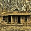Old 'squatters home'
Louisiana's back country
near Robeline, Louisiana