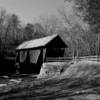 Campbell's Covered Bridge.
(black & white perspective).