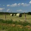 Uvalde County hay field.
