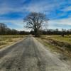 Peaceful rural scene in Ellis County.