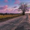 An evening sunset along a rural road in central Texas.