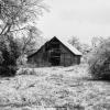 Tucked away 1930's barn amidst the frozen Texas brush.
