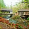 Cedar Creek Gristmill &
Covered Bridge.